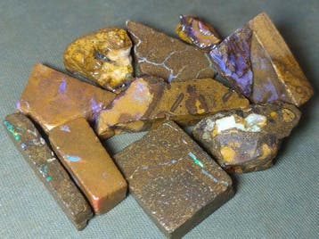 253 ct - Groot lot van 10 Australische Boulderopaal - Ruw-