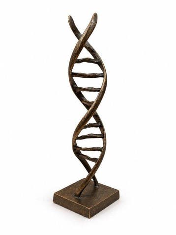 Ben Wouters (XX) - Abstract DNA sculptuur