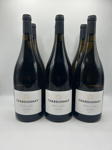 2024 R. Le Bihan Chardonnay - Pays doc - 6 Magnums (1.5L), Nieuw
