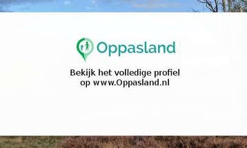 Wout zoekt een oppas in Hilversum voor 2 kinderen.