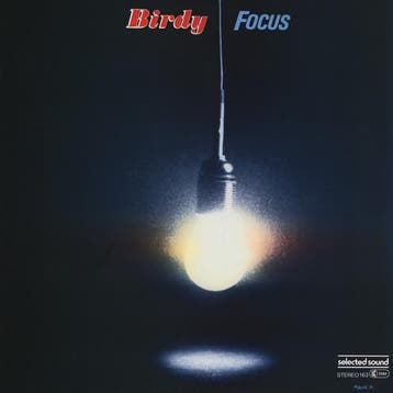 LP gebruikt - Birdy - Focus, Verzenden, Zo goed als nieuw, Overige formaten