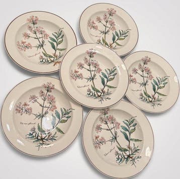 Villeroy & Boch - Schotel (6) - Botanica - Porselein