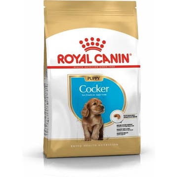 Royal Canin Cocker Junior 3 kg (Hondenvoer), Verzenden, Hond