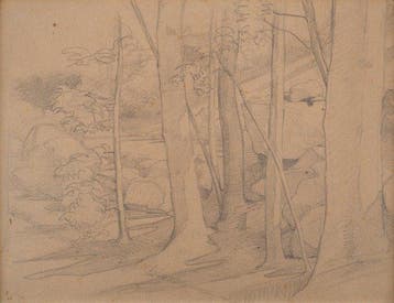 Gustave Courbet (1819-1877) et atelier - Forêt, Antiek en Kunst