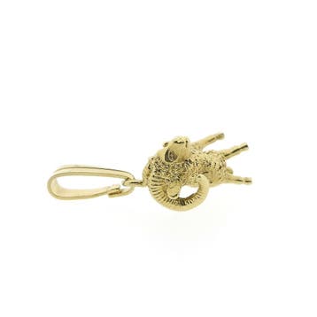 Gouden sterrenbeeld hanger; Steenbok (Hanger of bedel), Ophalen of Verzenden, Gebruikt, Goud, Overige merken