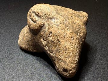Oud-Grieks, Hellenistisch Terracotta Zoomorfe kop van een