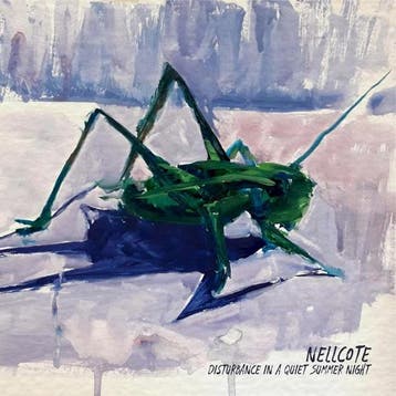 cd - nellcote - DISTURBANCE IN A QUIET SUMMER NIGHT (nieuw), Verzenden, Zo goed als nieuw