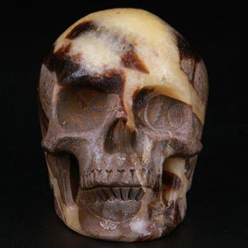 168 g 6,30 × 4,90 cm fossiel museumstuk echte draak, Verzamelen, Mineralen en Fossielen