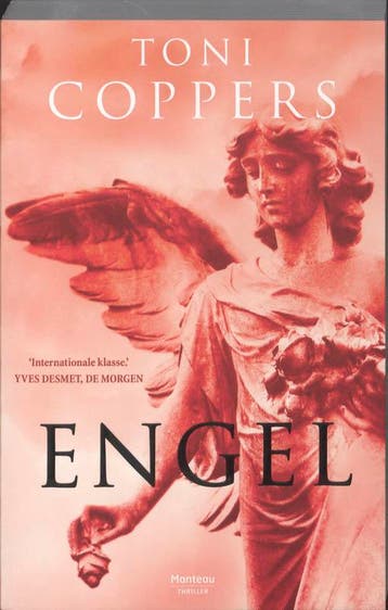 Engel / Liese Meerhout / 2 - Toni Coppers 9789022323861, Verzenden, Gelezen, Toni Coppers