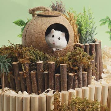 Natuurlijk Kokosnoot Hamsterhuis - Veilige & Bite-resistant, Verzenden, Nieuw