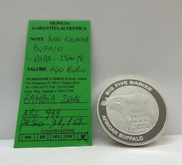 Zambia. 5000 Kwacha 2016 Bufalo RARA (Zonder minimumprijs)