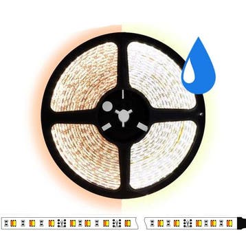 5 meter CCT (Dual white) led strip DUAL LED - 60Leds/m - IP6, Ophalen of Verzenden, Nieuw
