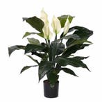 Kunstplant groen Spathiphyllum/Lepelplant 75 cm - Overige .., Ophalen of Verzenden