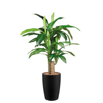 Dracaena Fragans kunstplant, H120cm, Ophalen of Verzenden, Overige soorten, 100 tot 150 cm