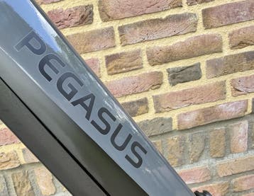 Nieuwe Pegasus Ravenna / 60 cm. Belt.  Heren. Bosch hmb., Overige merken, Nieuw, Ophalen of Verzenden, 59 cm of meer