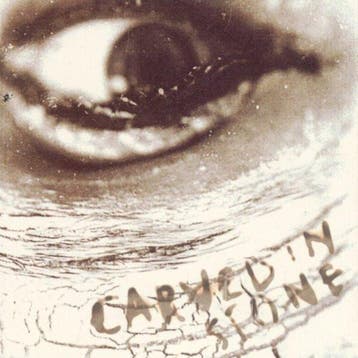 cd - Vince Neil - Carved In Stone, Verzenden, Zo goed als nieuw
