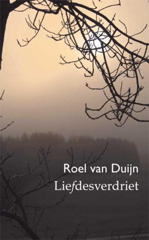 Liefdesverdriet 9789086660674 R. van Duijn, Boeken, Romans, Zo goed als nieuw, Verzenden
