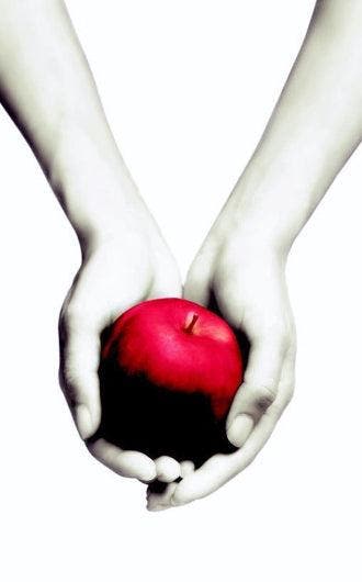 Twilight - NL - Stephenie Meyer - Paperback - Book bender:, Boeken, Ophalen of Verzenden, Nieuw