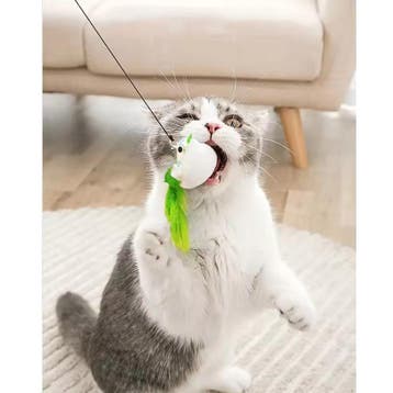 Interactief Katten Speelgoed Veer Bel Zuignap Vogel, Dieren en Toebehoren, Verzenden, Nieuw