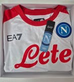 Napoli - Italiaanse voetbal competitie - Khvicha, Nieuw