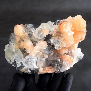 Beeld, Apophyllite Crystal on matrix Cluster - Height: 140