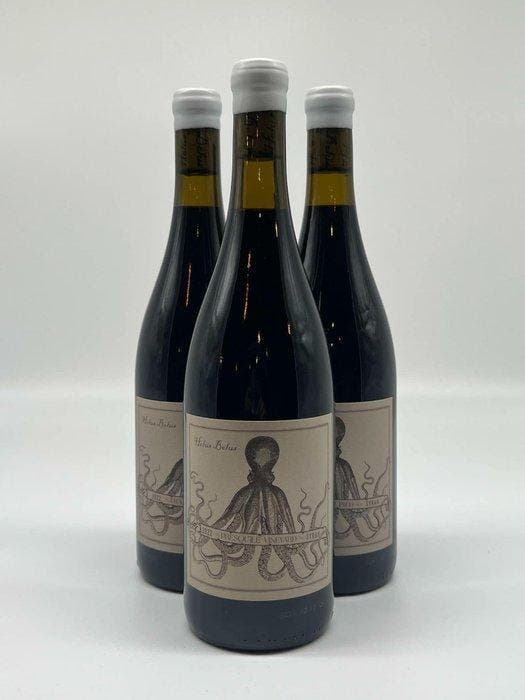 2022 Black Sheep Finds - Syrah Franc de Pied Holus Bolus -, Verzamelen, Wijnen