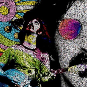 David Law - Crypto Zappa Live