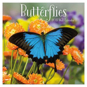 Butterflies kalender 2027, Ophalen of Verzenden, Nieuw in verpakking
