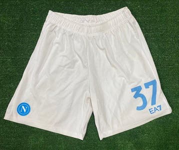 Napoli - Italiaanse voetbal competitie - Leonardo Spinazzola, Nieuw