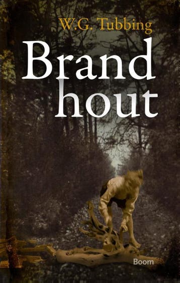 Brandhout | Wim Gerard Tubbing | Nieuw, Ophalen of Verzenden, Nieuw, Wim Gerard Tubbing