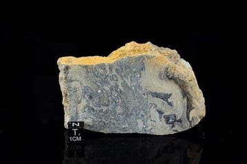 Kofelsite Frictionite 9cm Köfels landslide 8.700 jaar