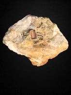 Afgewerkte heldere Imperial Topaz-kristal op matrix.
