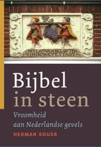 BIJBEL IN STEEN 9789089120083 H. Souer, Verzenden, Zo goed als nieuw, H. Souer