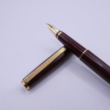Pilot - Pilot Fountain Pen Brown 14K-585 Gold Nib - Zonder, Nieuw
