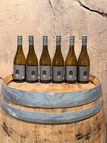 2021 Topf, Grüner Veltliner Ried Rosengartl M -, Nieuw