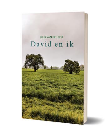 David en ik - Gijs van de Logt 9789493345195, Verzenden, Zo goed als nieuw, Gijs van de Logt