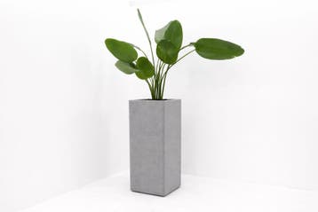 Akoestische plantenbak - 104x42x42cm (hxbxd) - wolvilt -, Werkplek, Ophalen of Verzenden, Nieuw in verpakking, Overige typen