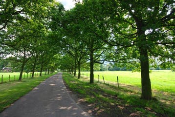 Te huur: Huis Buurtweg in Wassenaar, Wassenaar, Zuid-Holland