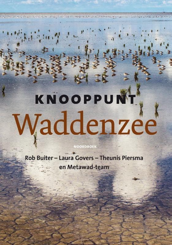 Knooppunt Waddenzee | Nieuw, Boeken, Natuur, Nieuw, Ophalen of Verzenden