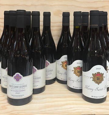 2022 x 6 Pascale Rion Delhautal Nuits Saint Georges Les, Nieuw
