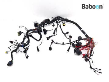 Kabelboom Ducati Monster 937 2021-2022 (1M00AA 4M00AA), Verzenden, Gebruikt