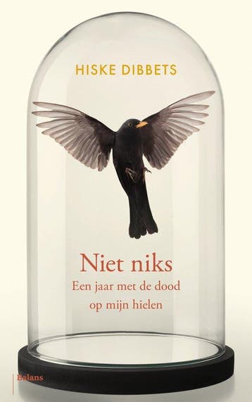 9789463822657 Niet niks | Tweedehands, Verzenden, Zo goed als nieuw, Hiske Dibbets