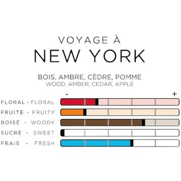 IMAO Voyage à New York Geurhanger, Verzenden, Nieuw
