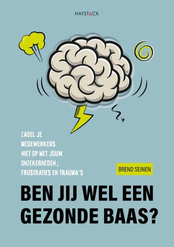 Ben jij wel een gezonde baas? 9789461266408 Brend Seinen, Boeken, Verzenden, Zo goed als nieuw, Brend Seinen