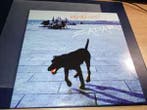 LP gebruikt - Vayndog - Zadar, Cd's en Dvd's, Verzenden, Zo goed als nieuw