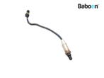 Lambda Sonde BMW F 650 GS 2004-2005 Dakar (F650GS), Motoren, Verzenden, Gebruikt