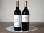 2019 Bodega Áster, Finca el Otero & 2020 El Espino - Ribera, Nieuw