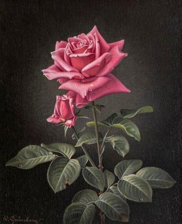 Wolfgang Grünberg (1909–2001) - Morgentau – Rosenstilleben