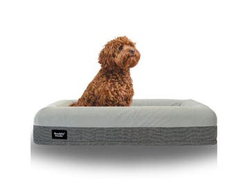 Buddy Beds Hondenmand - Orthopedisch Hondenkussen - Luxe, Verzenden, Zo goed als nieuw