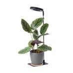LED Plantengroeilamp VERDI V2 Zwart 5W 1300K - USB - Time..., Ophalen of Verzenden, Nieuw
